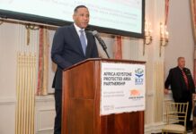 Botswana’s President Calls for UN Reform, Climate Action, and Solidarity with Palestine at UN Assembly