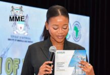 Dual-Engine Strategy for NDP 12 Targets Regional Energy Hub and Mining Diversification